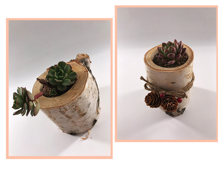 Create Indoor And Outdoor Planters