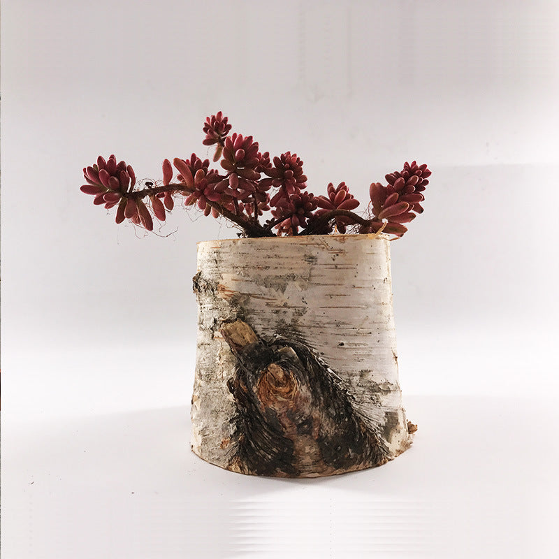 Create Indoor And Outdoor Planters