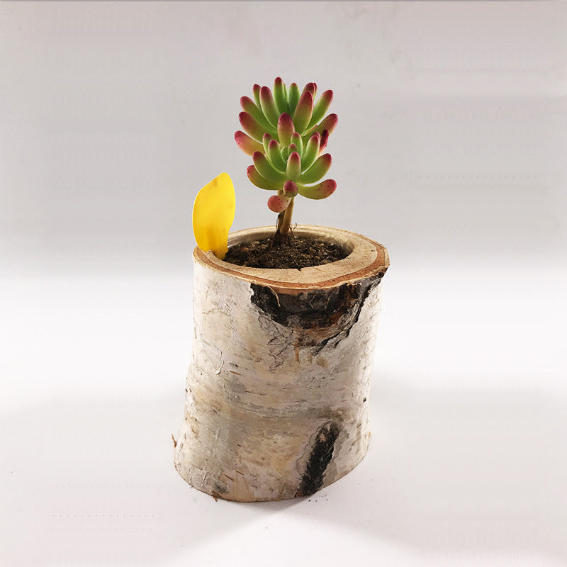 Create Indoor And Outdoor Planters